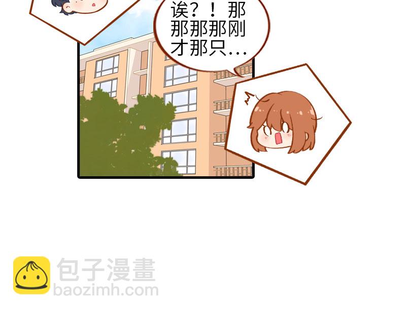 《猫咪的人类饲养指南》番外1 差一点就失去你了 第15页