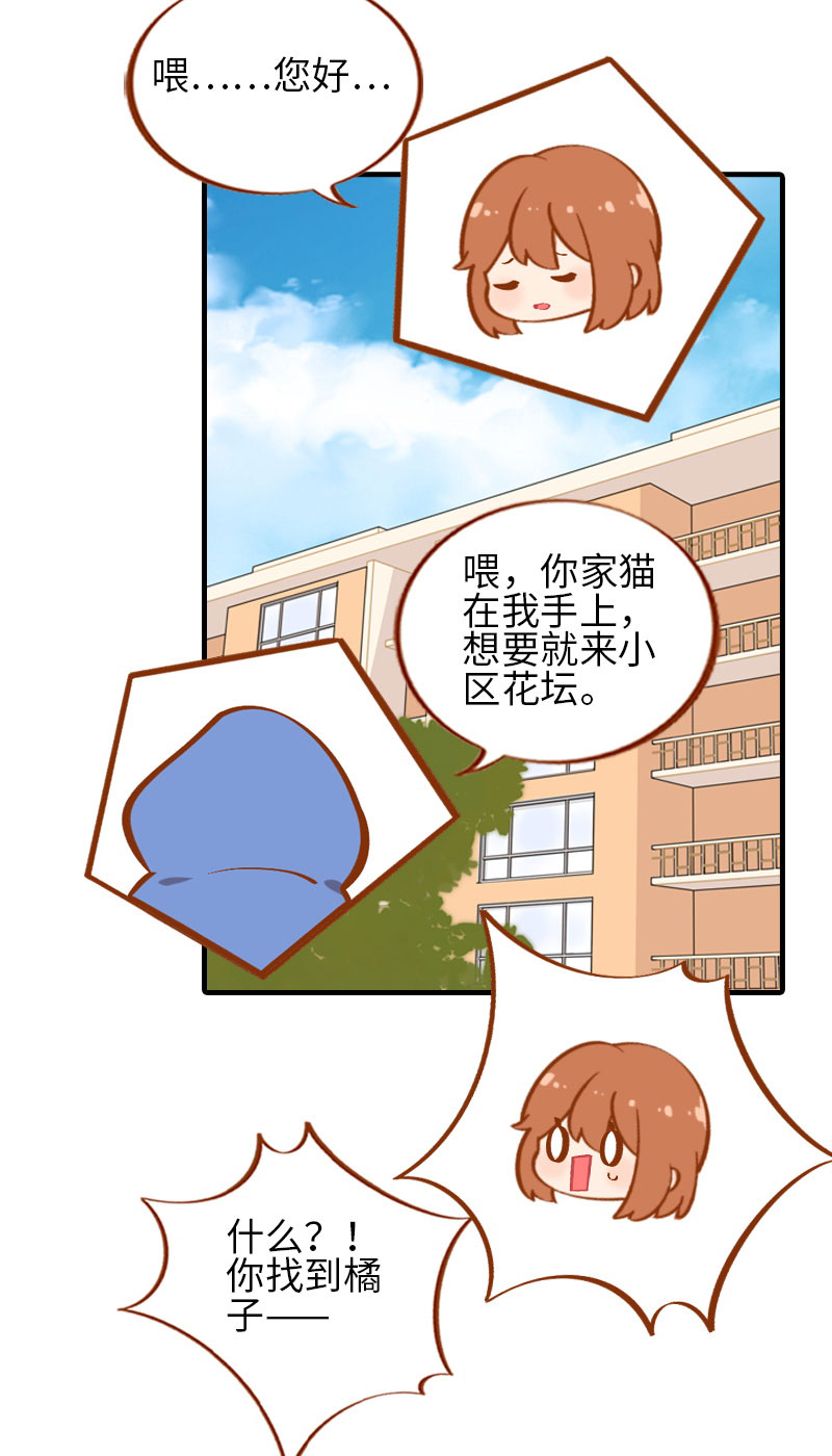 《猫咪的人类饲养指南》番外1 差一点就失去你了 第4页
