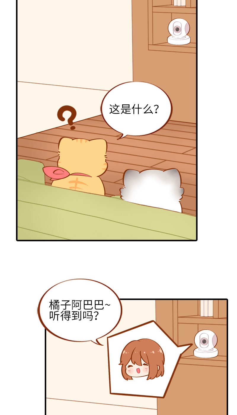 《猫咪的人类饲养指南》第25话 喂喂监视器测试中 第10页