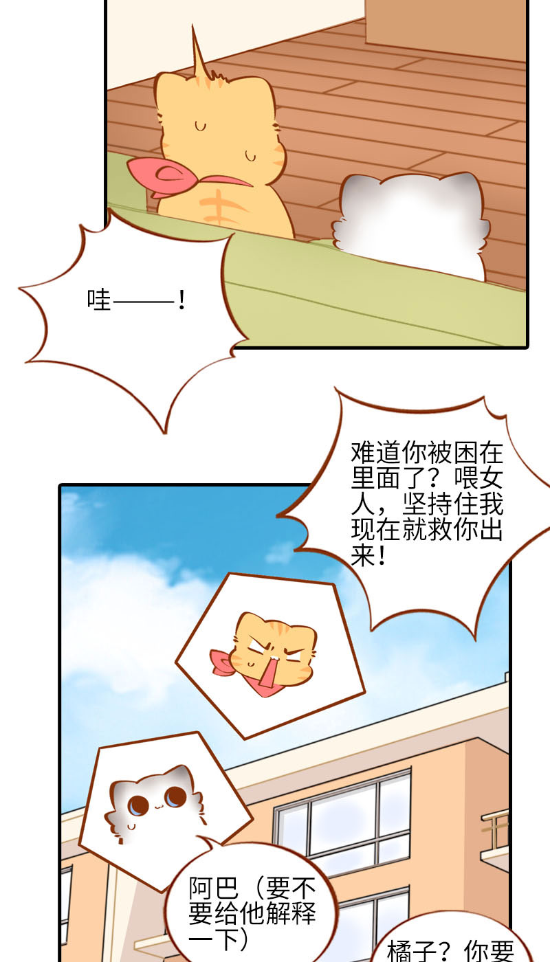 《猫咪的人类饲养指南》第25话 喂喂监视器测试中 第11页