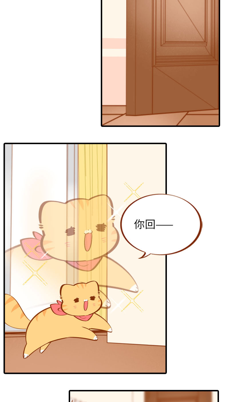 《猫咪的人类饲养指南》第25话 喂喂监视器测试中 第3页