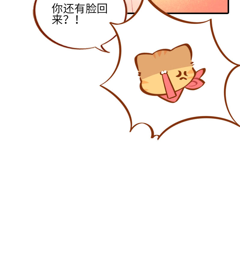 《猫咪的人类饲养指南》第24话 吃醋的小猫咪-橘子 第11页