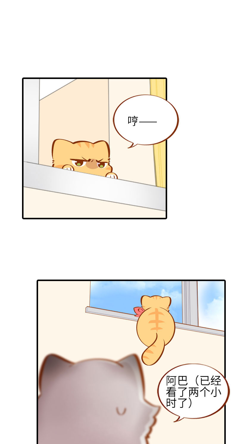 《猫咪的人类饲养指南》第24话 吃醋的小猫咪-橘子 第2页