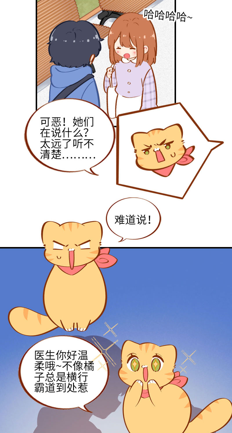 《猫咪的人类饲养指南》第24话 吃醋的小猫咪-橘子 第4页