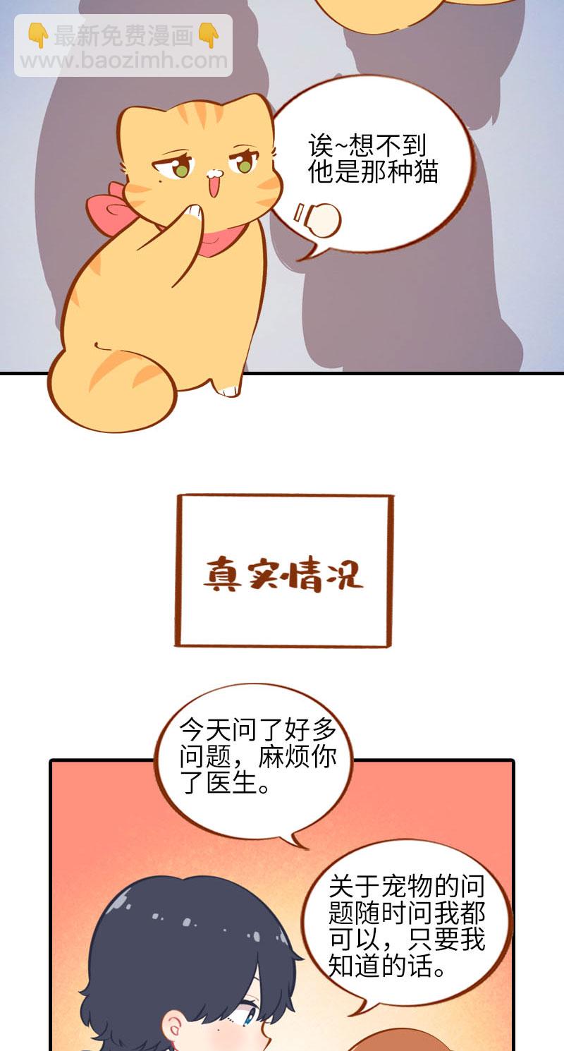《猫咪的人类饲养指南》第24话 吃醋的小猫咪-橘子 第5页