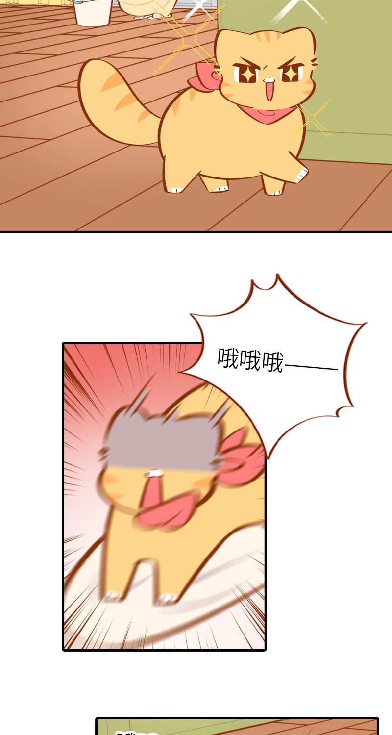 《猫咪的人类饲养指南》第29话 漂亮宝贝不干了！ 第4页