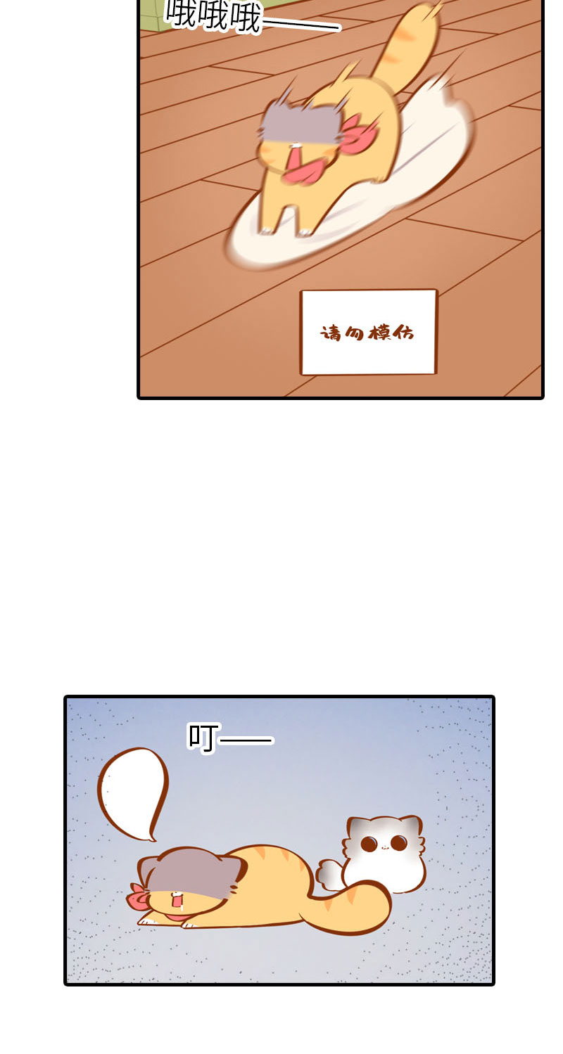 《猫咪的人类饲养指南》第29话 漂亮宝贝不干了！ 第5页