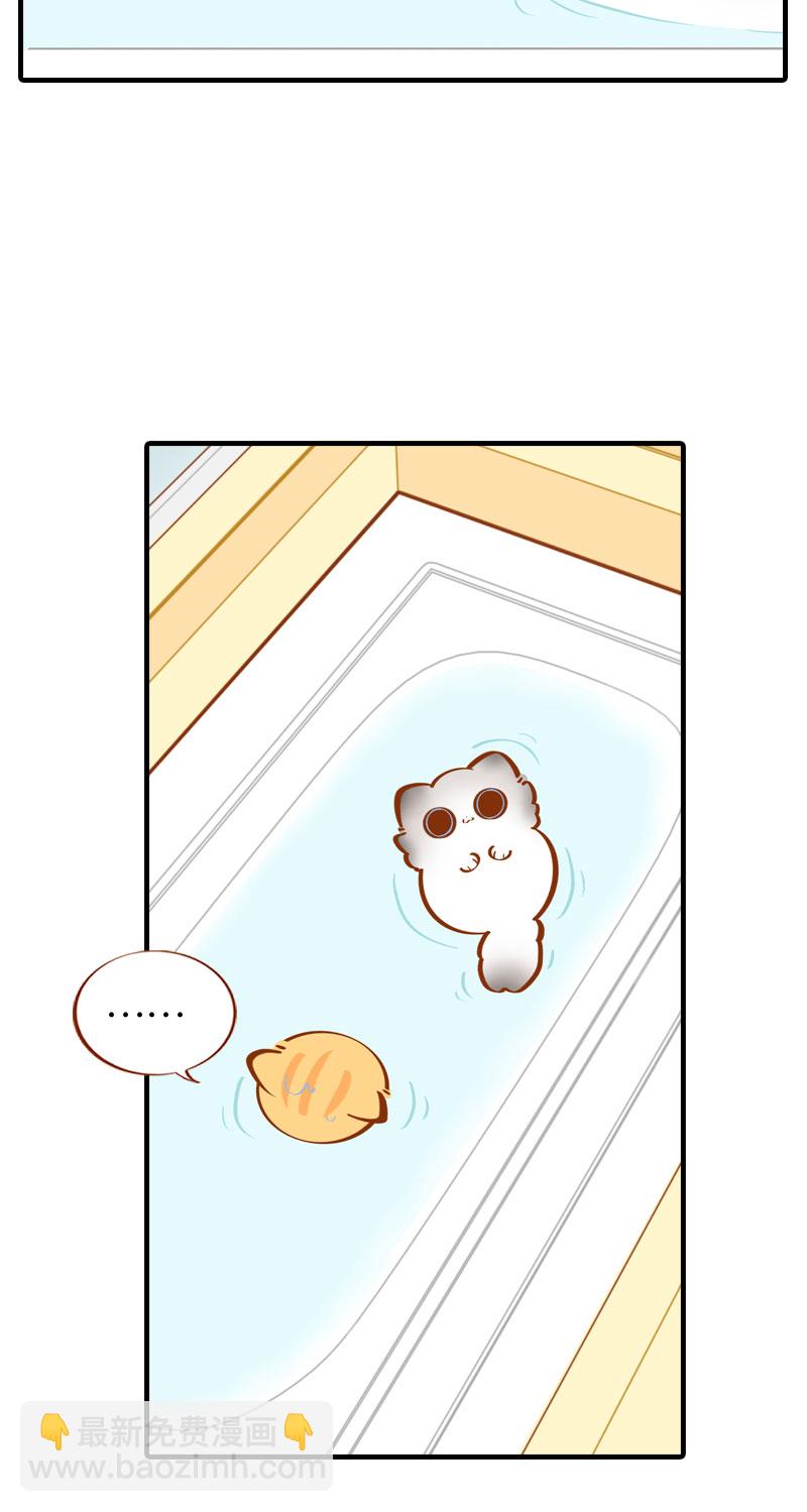 《猫咪的人类饲养指南》第30话 一年一度洗澡日 第10页