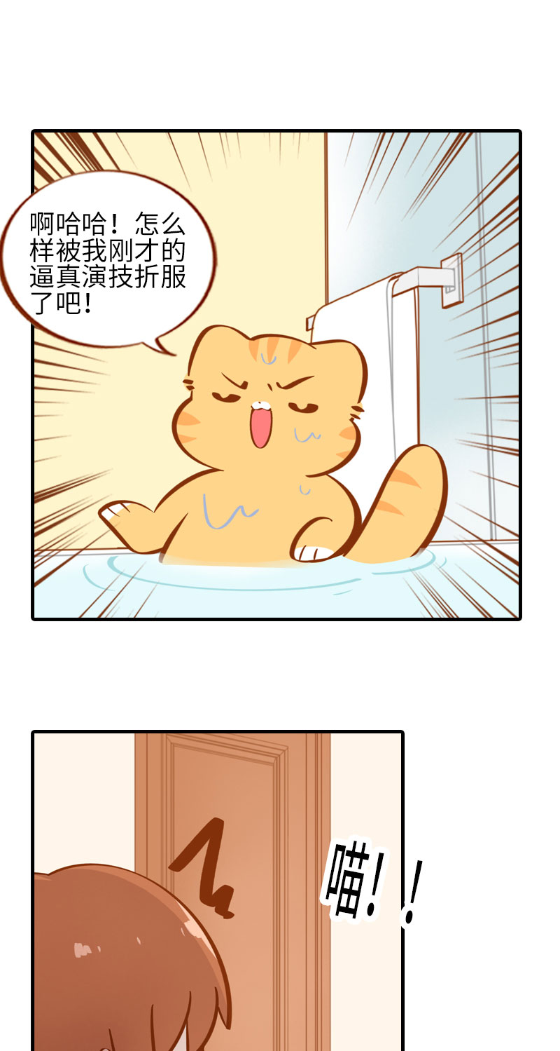 《猫咪的人类饲养指南》第30话 一年一度洗澡日 第11页