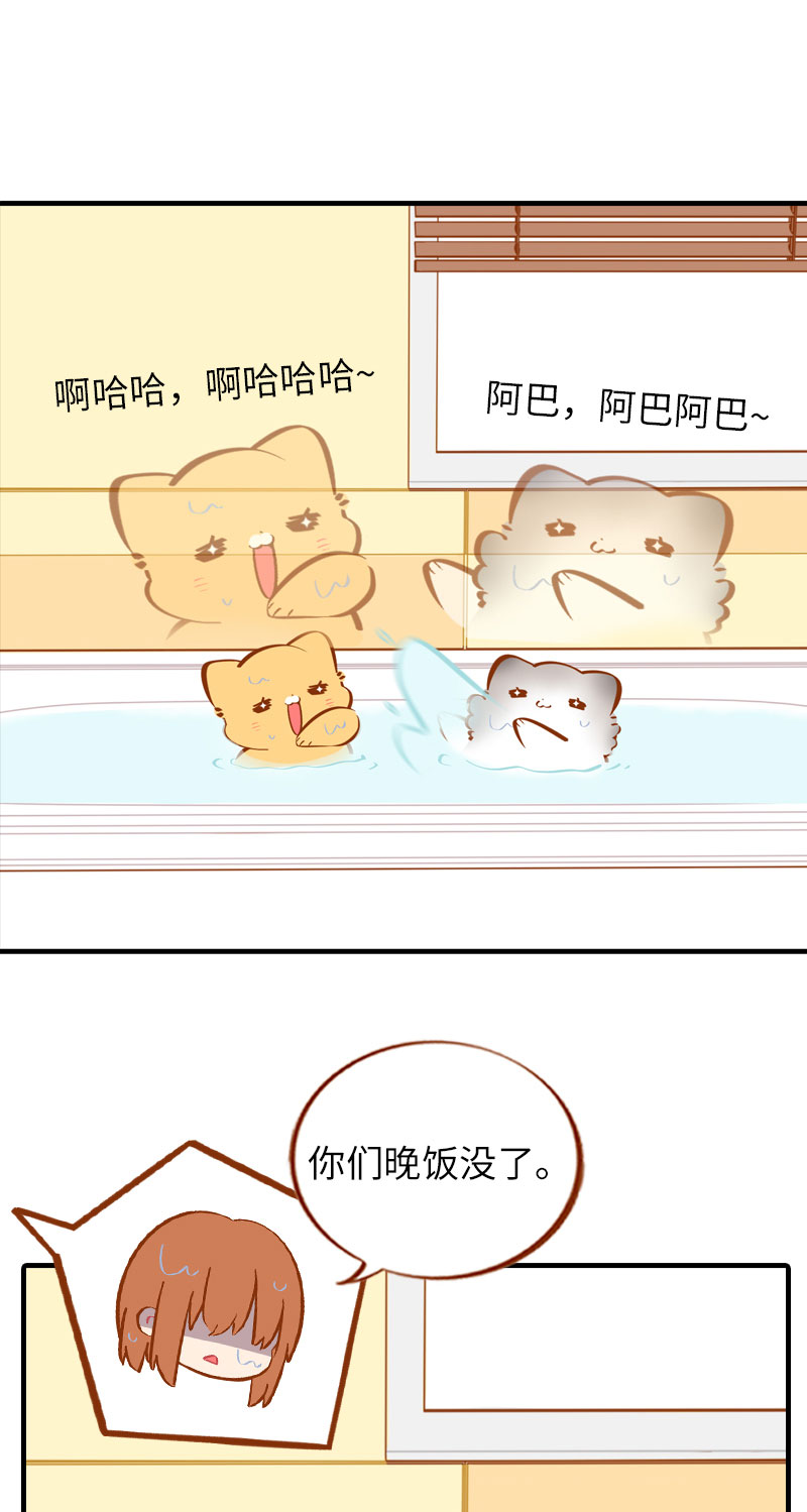 《猫咪的人类饲养指南》第30话 一年一度洗澡日 第14页