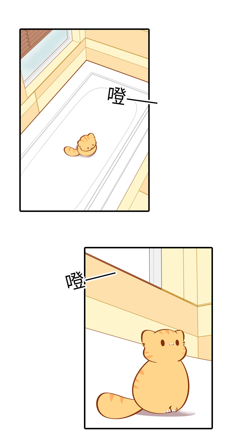 《猫咪的人类饲养指南》第30话 一年一度洗澡日 第2页