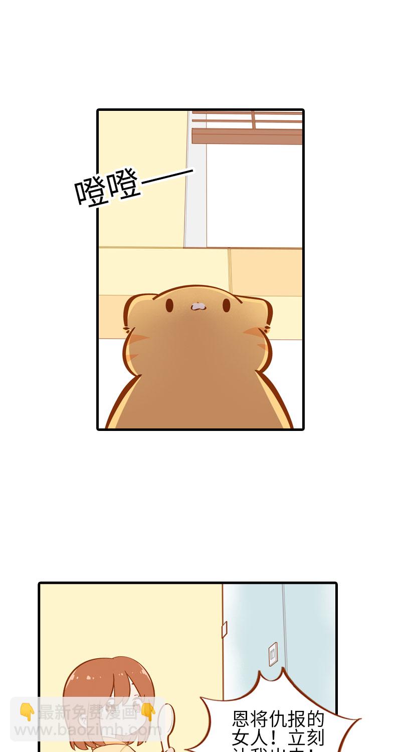 《猫咪的人类饲养指南》第30话 一年一度洗澡日 第3页