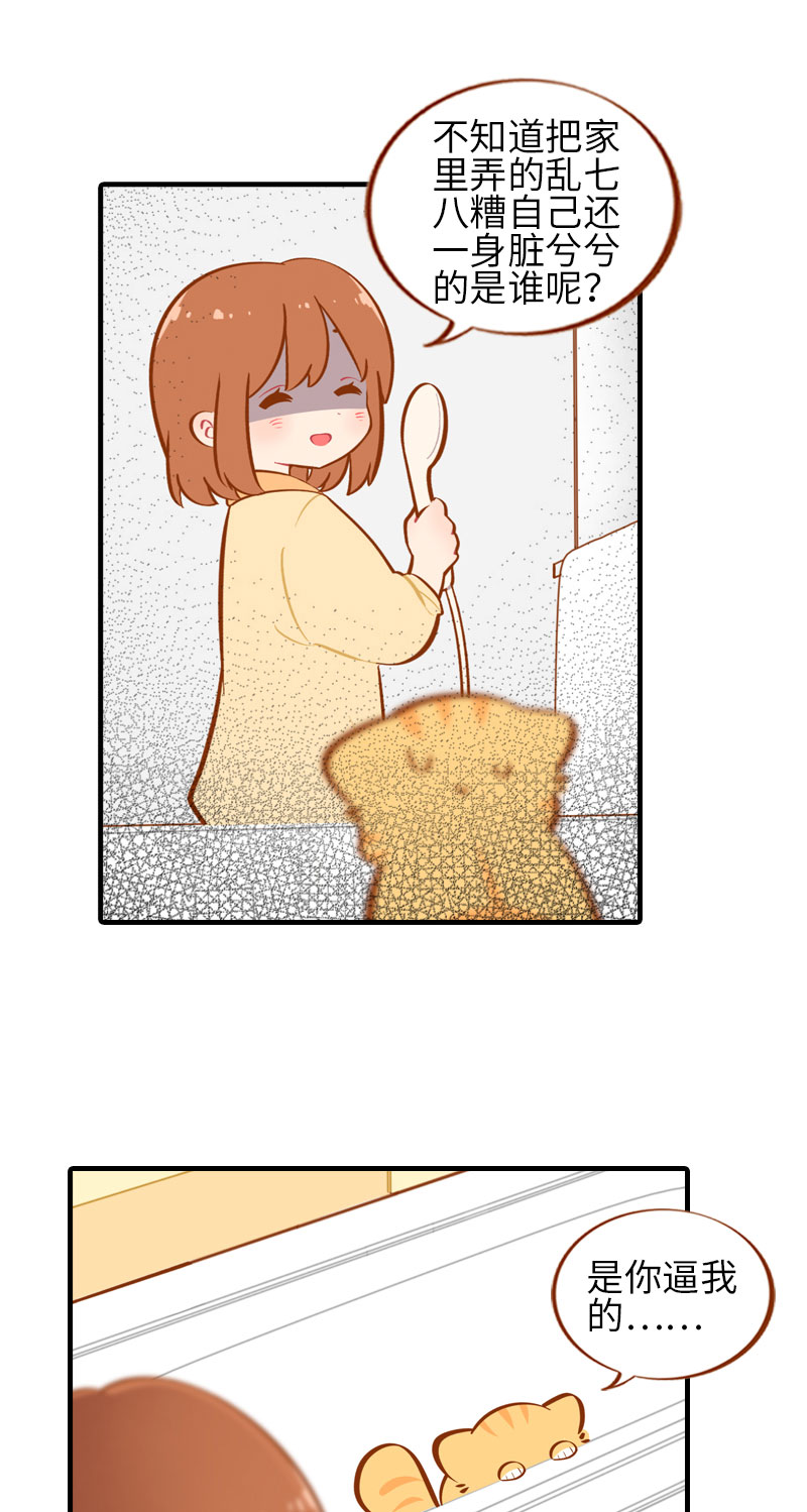 《猫咪的人类饲养指南》第30话 一年一度洗澡日 第5页