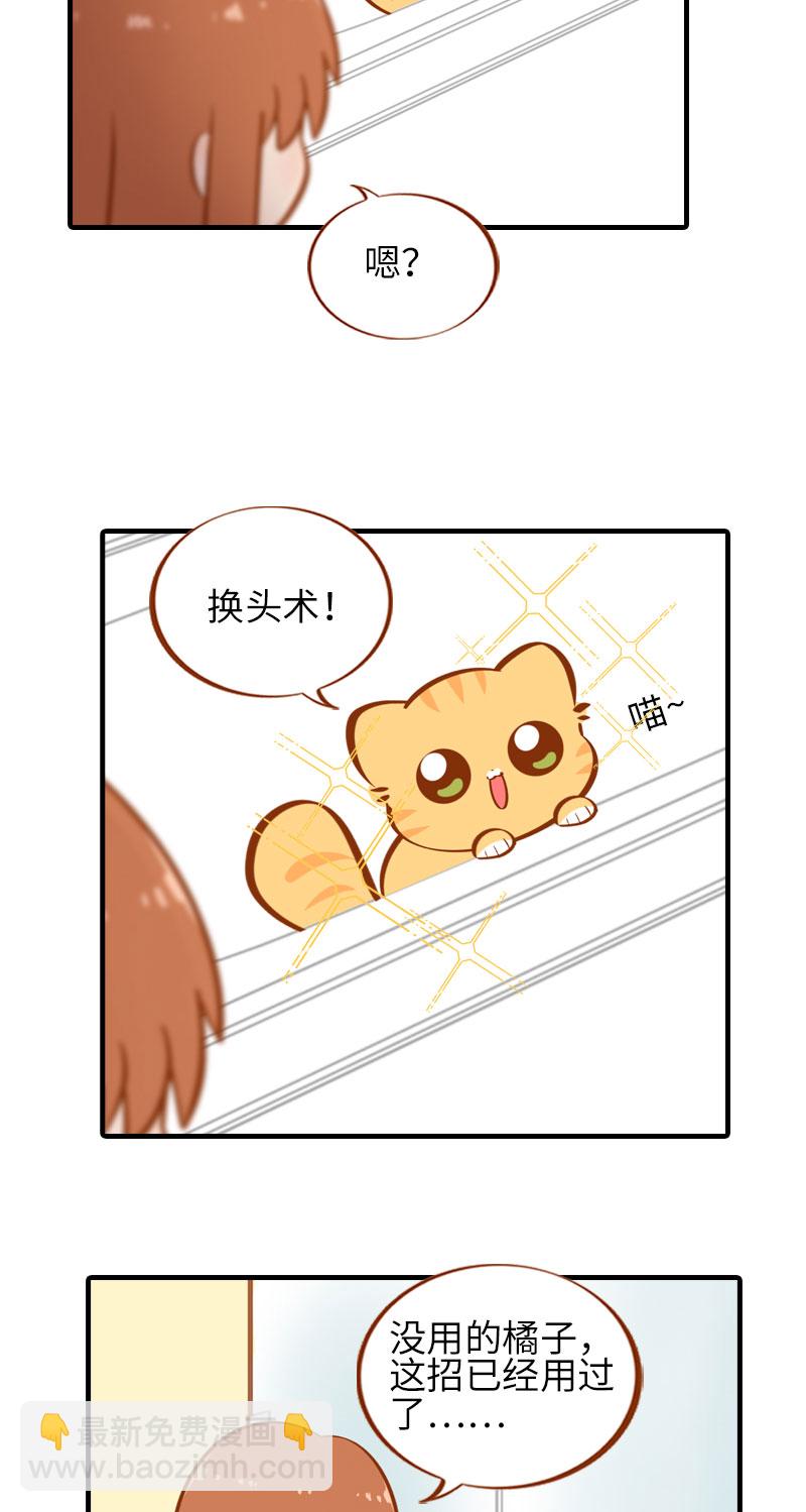 《猫咪的人类饲养指南》第30话 一年一度洗澡日 第6页