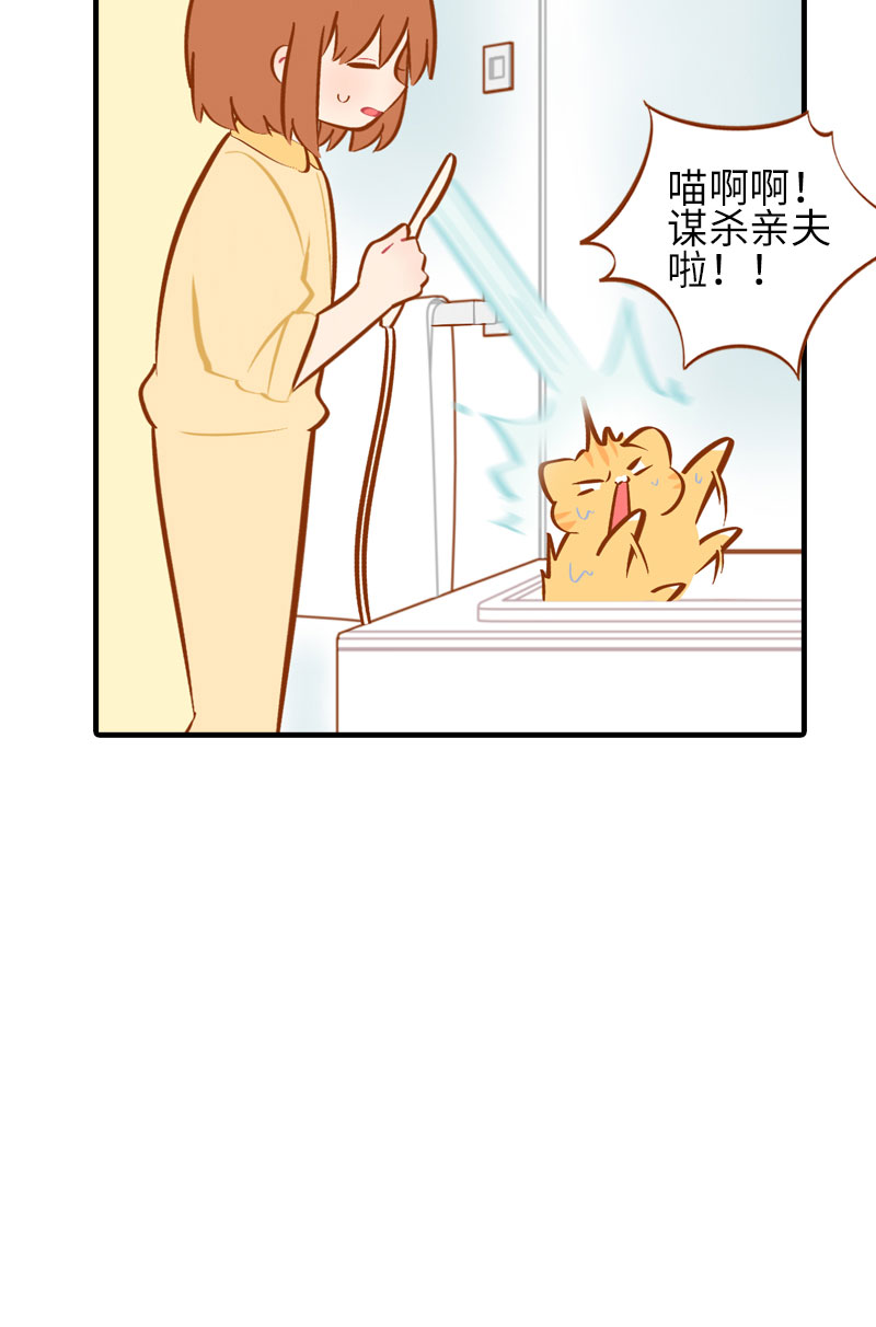 《猫咪的人类饲养指南》第30话 一年一度洗澡日 第7页