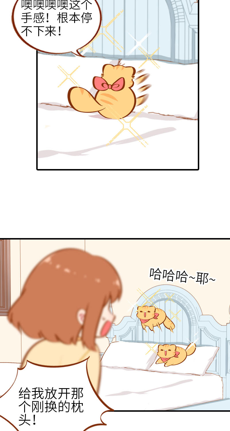 《猫咪的人类饲养指南》第28话 热衷参与家事的男主人 第10页