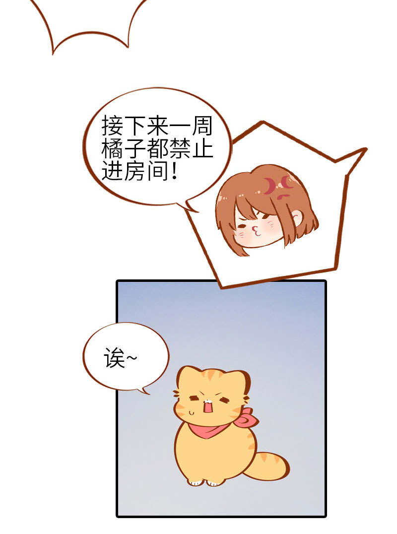 《猫咪的人类饲养指南》第28话 热衷参与家事的男主人 第11页