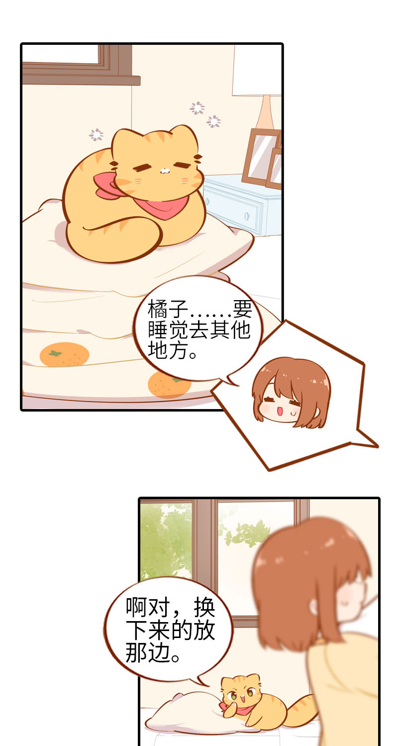 《猫咪的人类饲养指南》第28话 热衷参与家事的男主人 第4页
