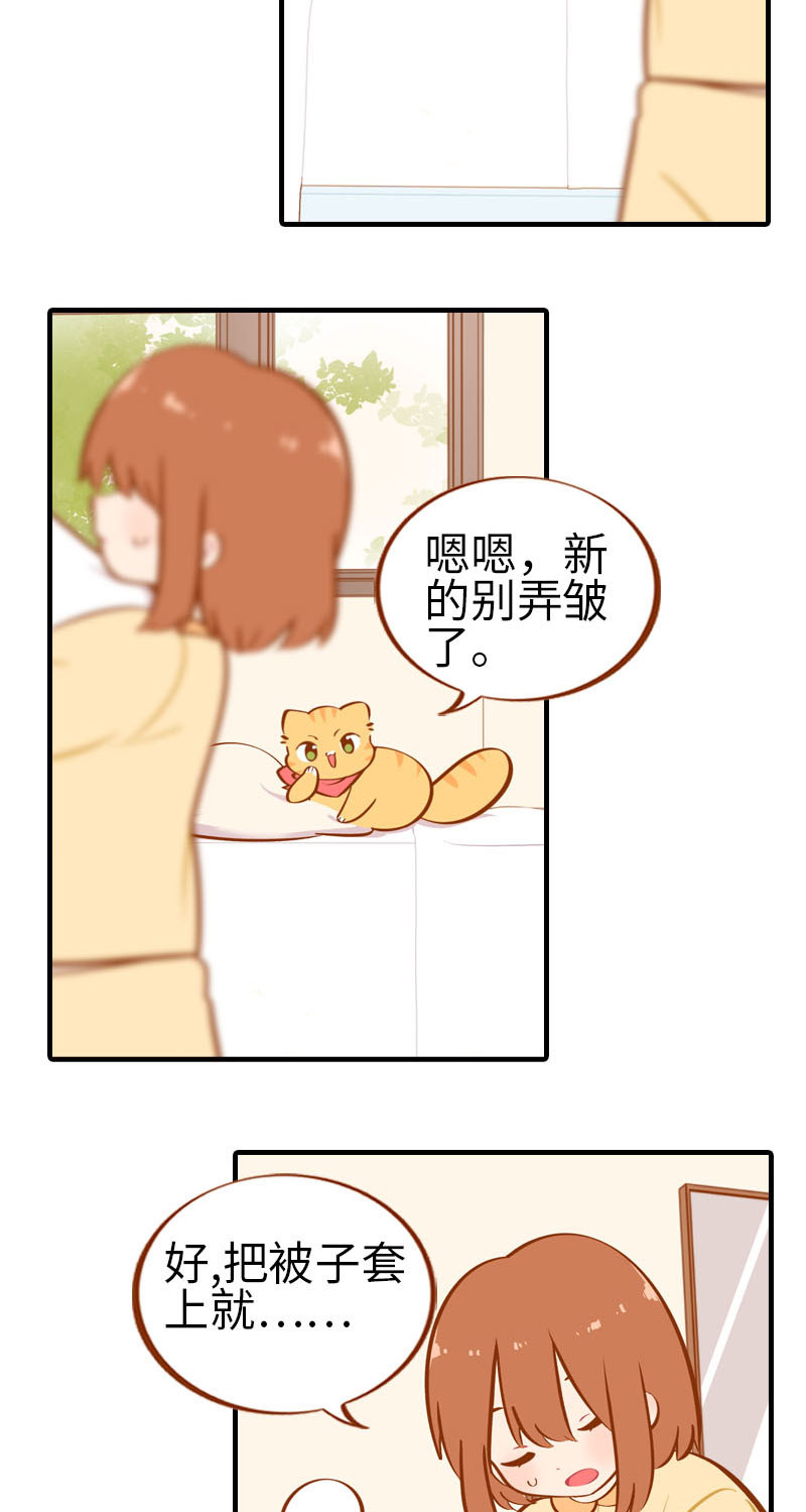 《猫咪的人类饲养指南》第28话 热衷参与家事的男主人 第5页