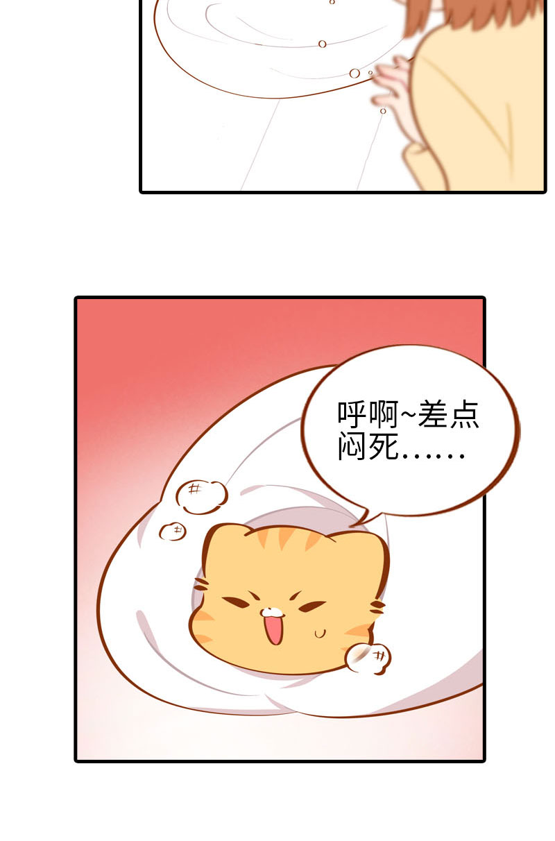 《猫咪的人类饲养指南》第28话 热衷参与家事的男主人 第7页