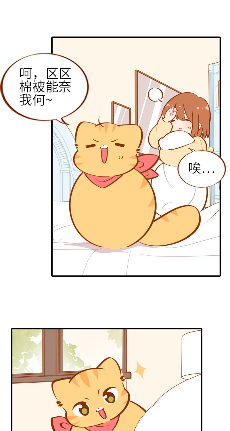 《猫咪的人类饲养指南》第28话 热衷参与家事的男主人 第8页