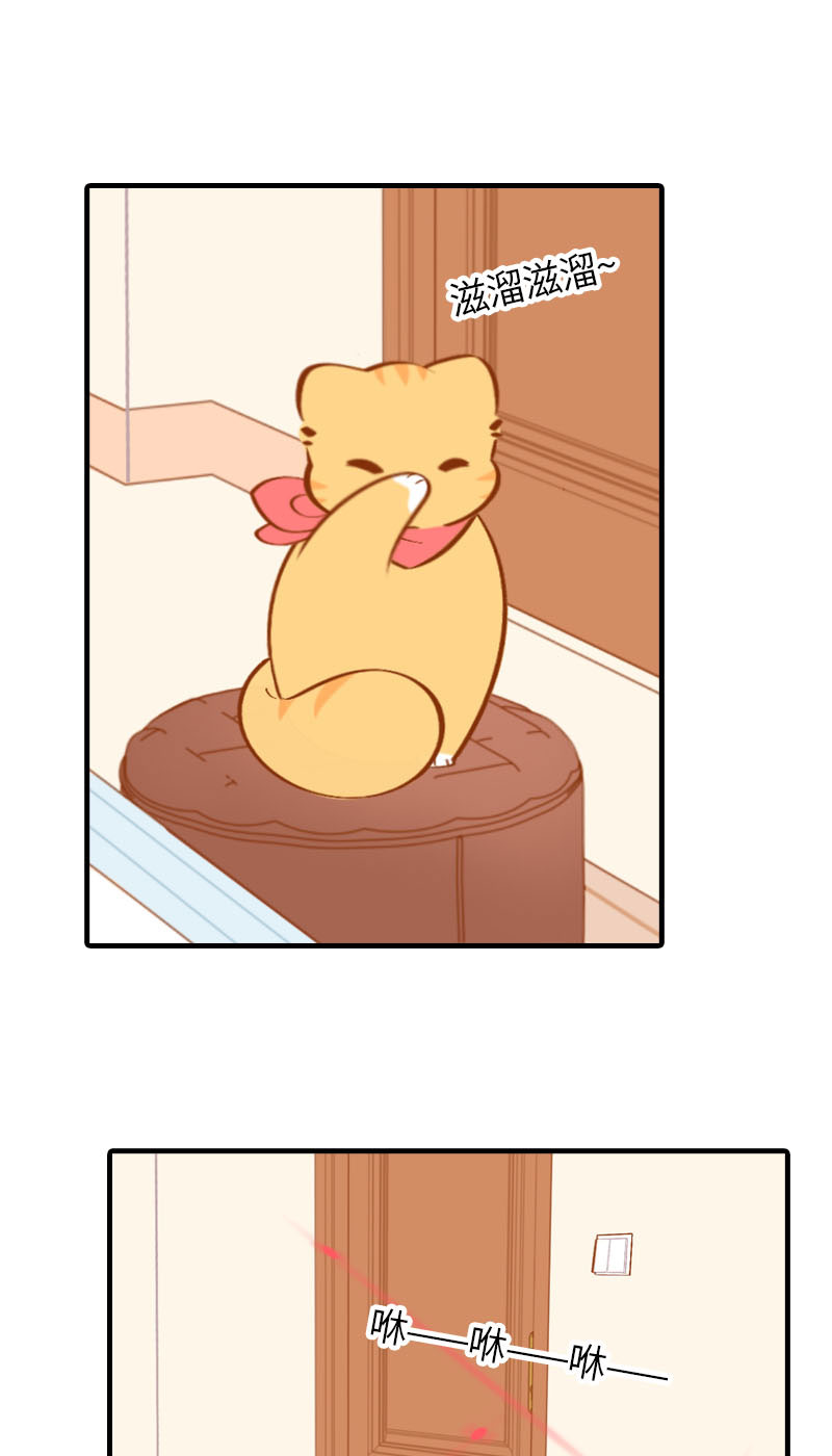 《猫咪的人类饲养指南》第27话 在下橘子，接受挑战 第2页