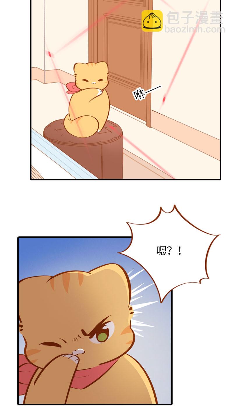 《猫咪的人类饲养指南》第27话 在下橘子，接受挑战 第3页
