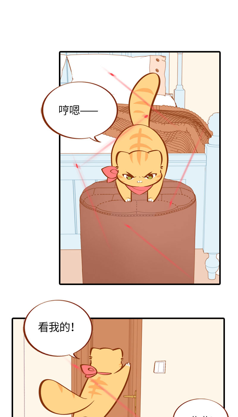 《猫咪的人类饲养指南》第27话 在下橘子，接受挑战 第4页