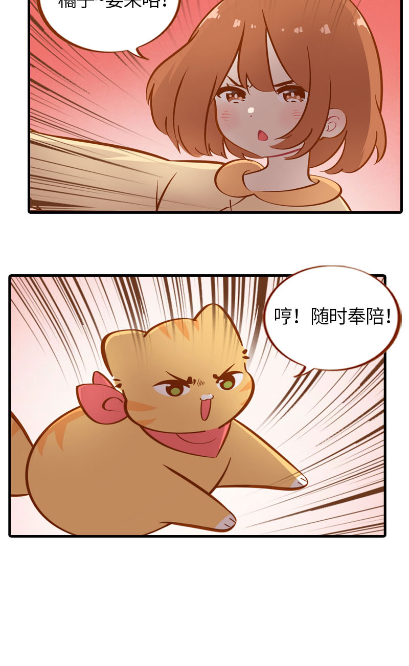 《猫咪的人类饲养指南》第27话 在下橘子，接受挑战 第7页