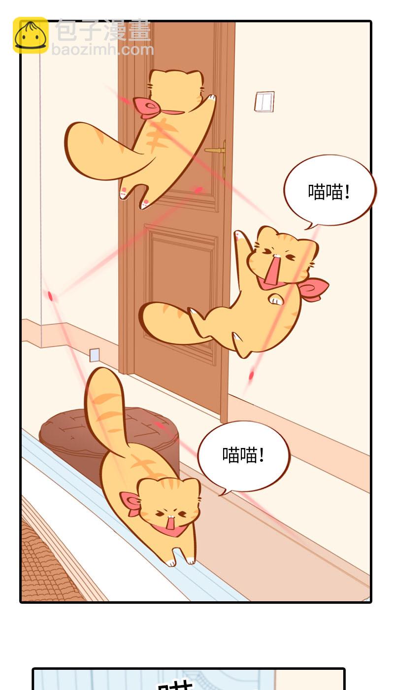《猫咪的人类饲养指南》第27话 在下橘子，接受挑战 第8页