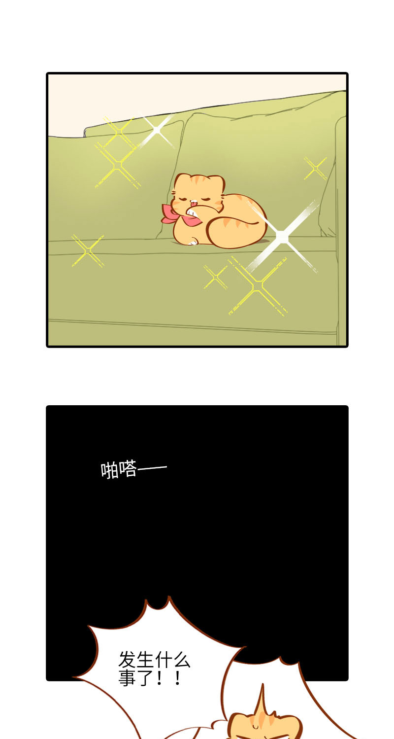 《猫咪的人类饲养指南》第32话 橘子来拆礼物了！ 第2页