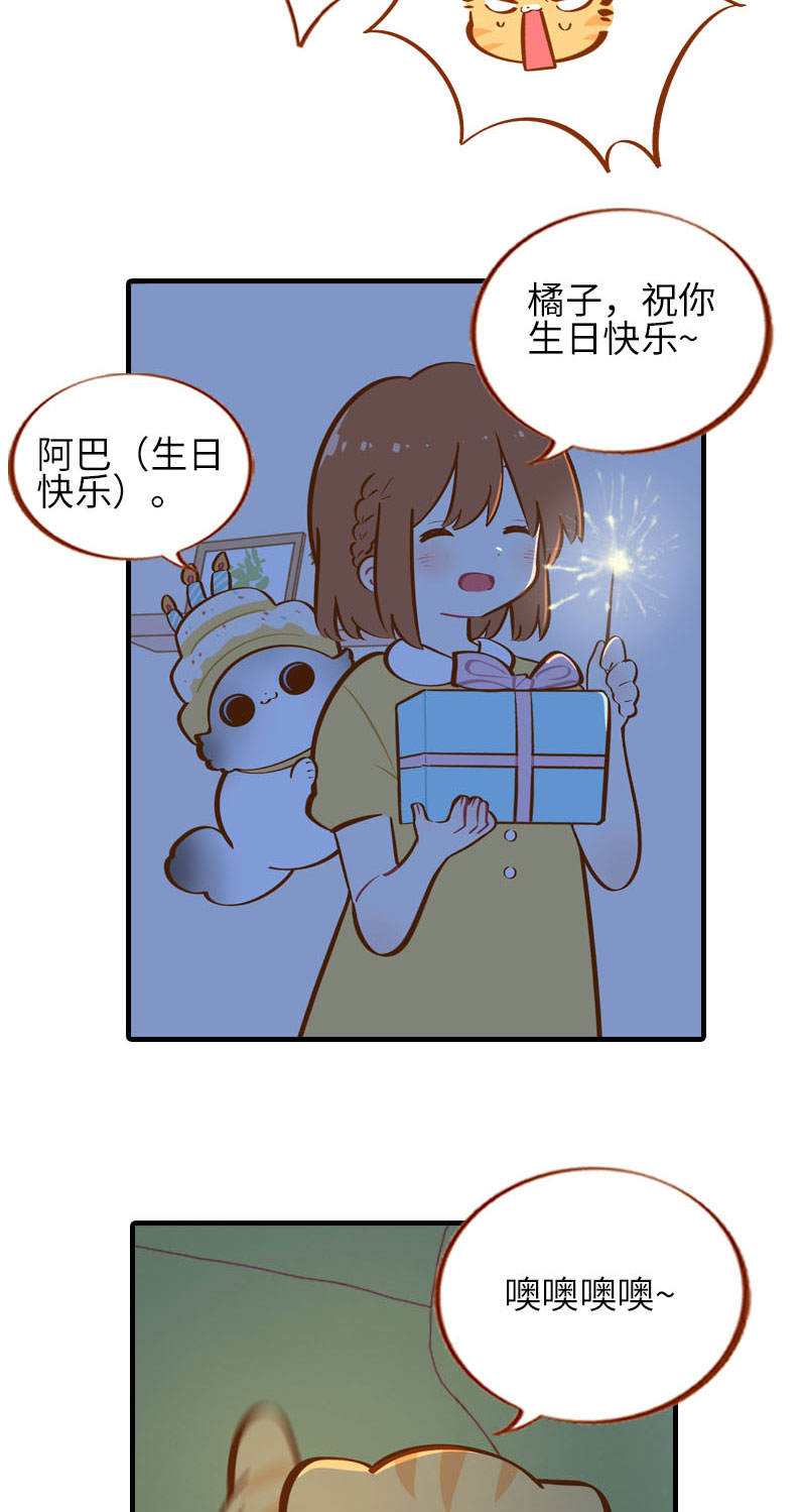 《猫咪的人类饲养指南》第32话 橘子来拆礼物了！ 第3页