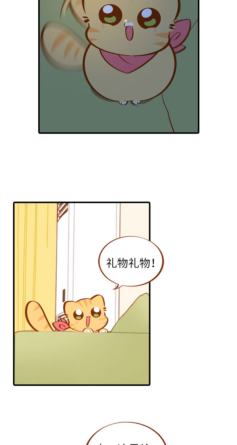 《猫咪的人类饲养指南》第32话 橘子来拆礼物了！ 第4页