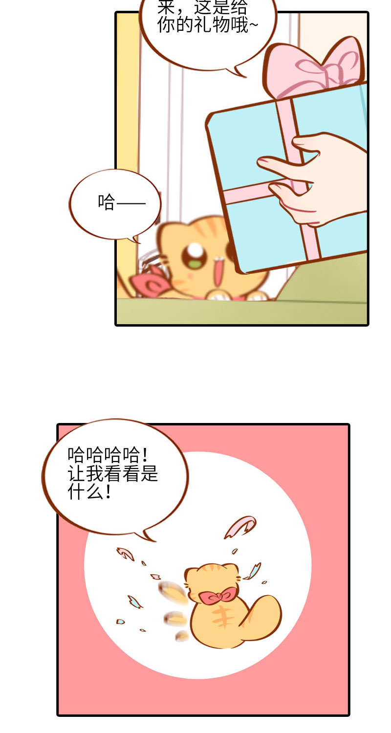 《猫咪的人类饲养指南》第32话 橘子来拆礼物了！ 第5页