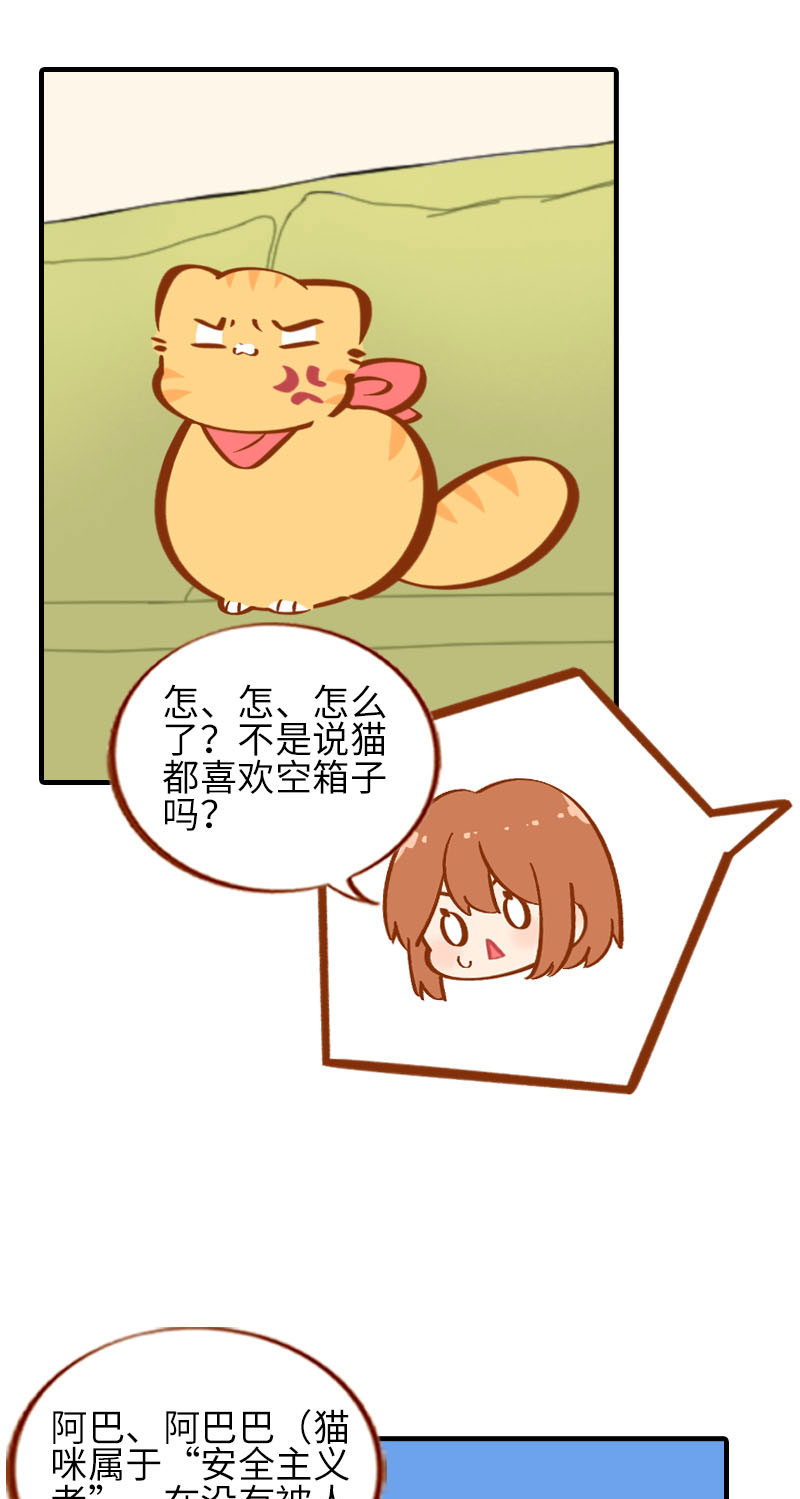 《猫咪的人类饲养指南》第32话 橘子来拆礼物了！ 第8页