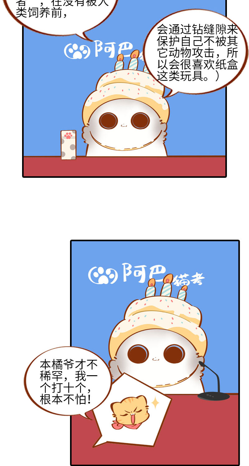 《猫咪的人类饲养指南》第32话 橘子来拆礼物了！ 第9页