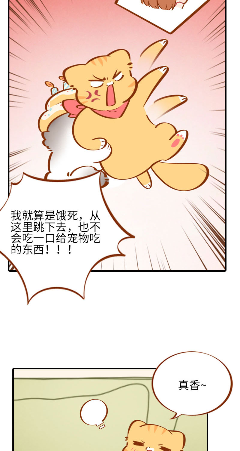 《猫咪的人类饲养指南》第33话 许个愿吧 第10页