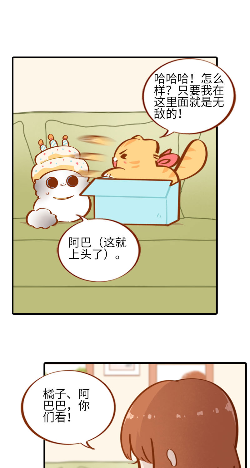 《猫咪的人类饲养指南》第33话 许个愿吧 第2页