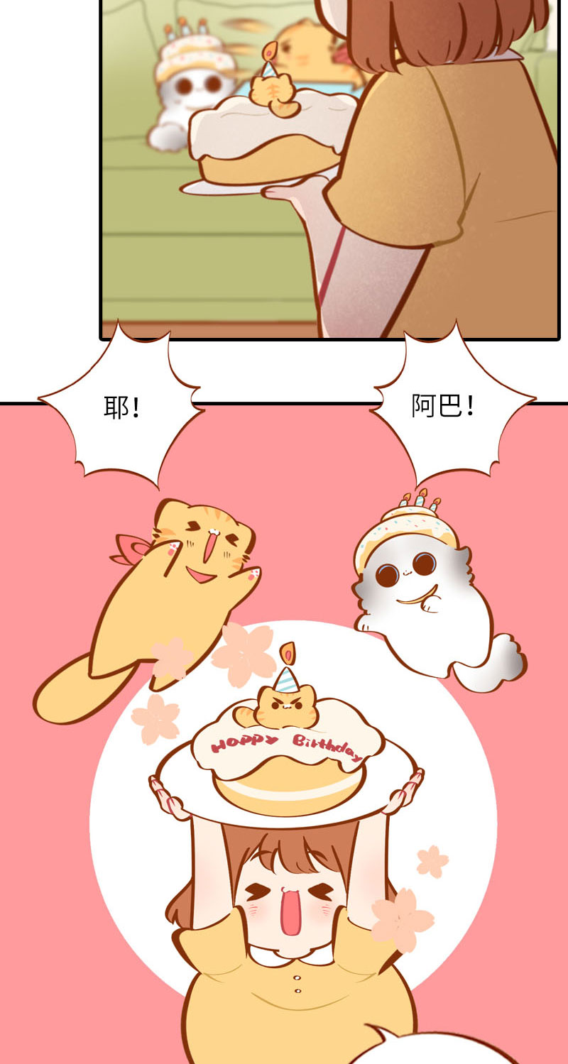《猫咪的人类饲养指南》第33话 许个愿吧 第3页