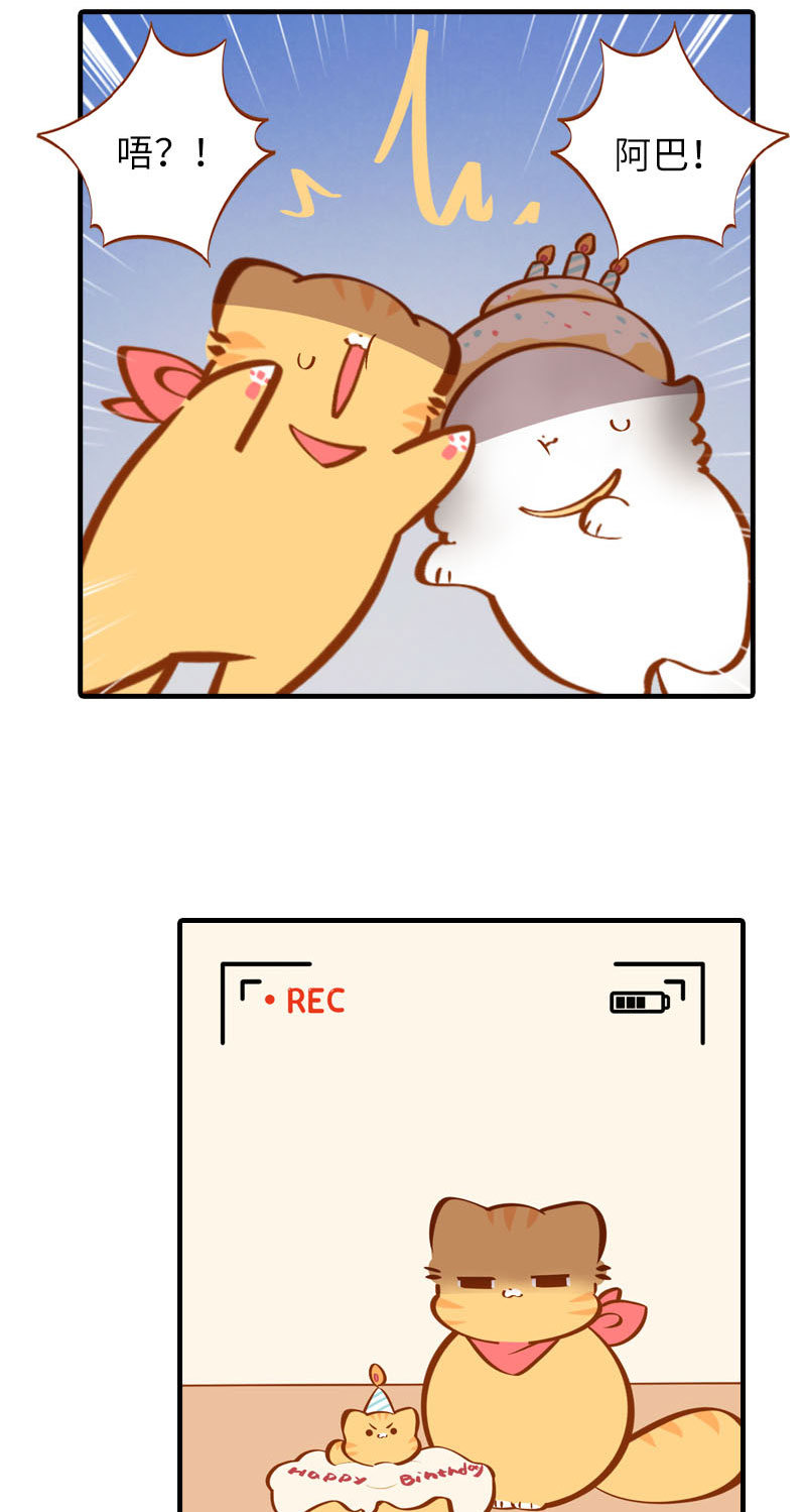 《猫咪的人类饲养指南》第33话 许个愿吧 第5页