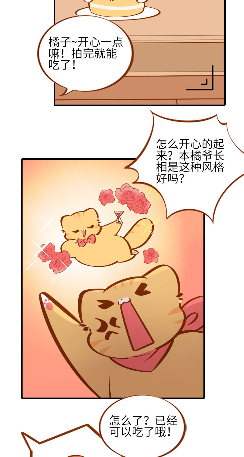 《猫咪的人类饲养指南》第33话 许个愿吧 第6页