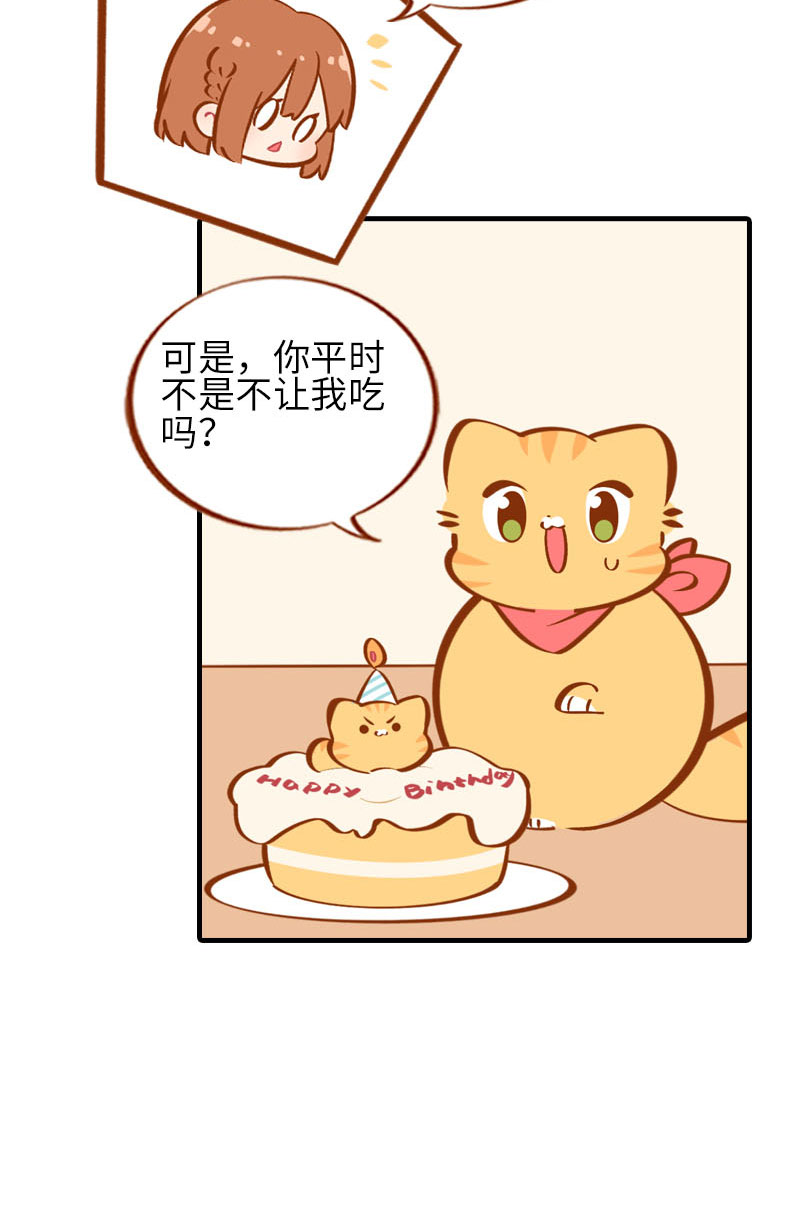 《猫咪的人类饲养指南》第33话 许个愿吧 第7页