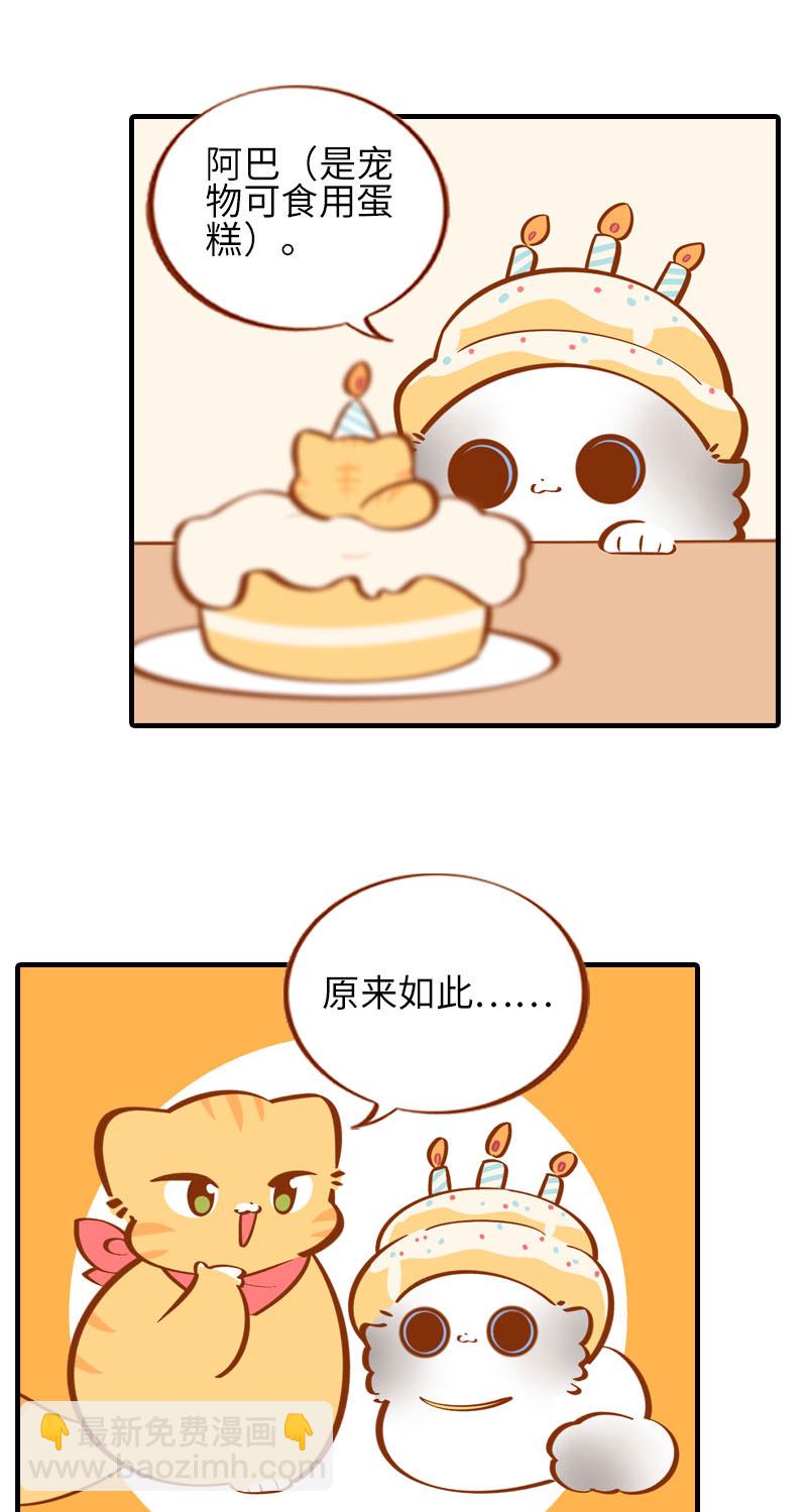 《猫咪的人类饲养指南》第33话 许个愿吧 第8页