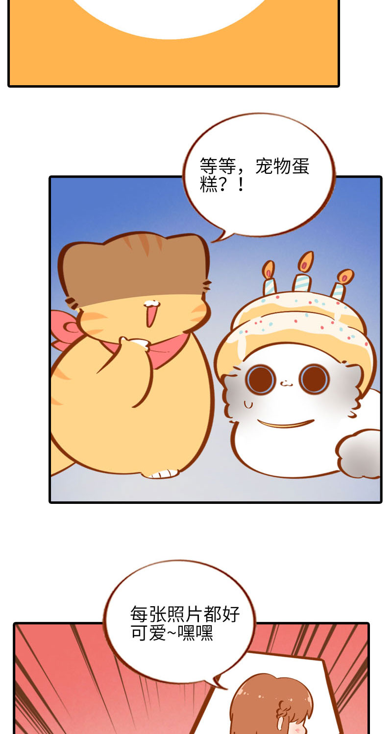 《猫咪的人类饲养指南》第33话 许个愿吧 第9页