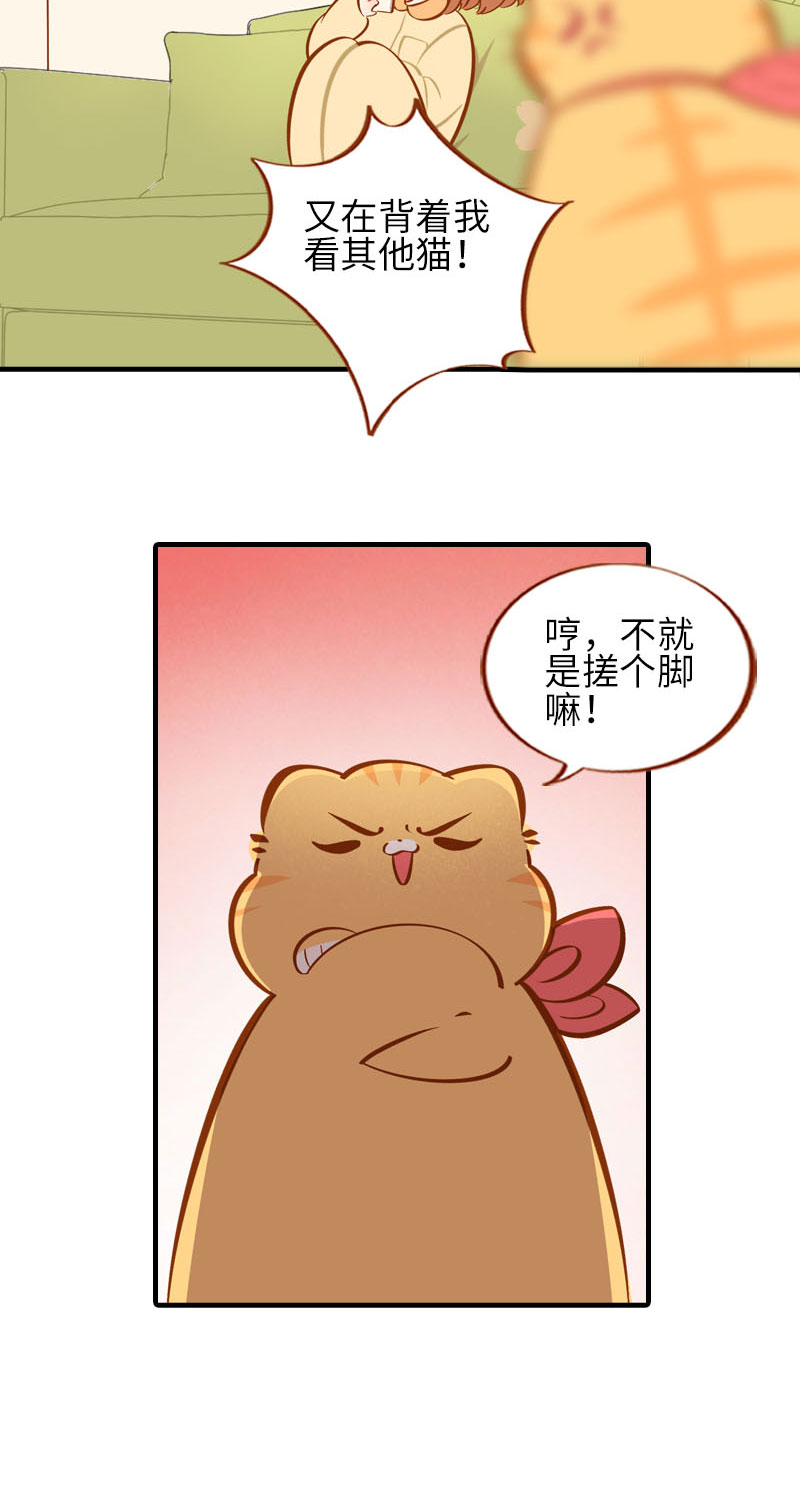 《猫咪的人类饲养指南》第31话 猫咪搓脚？安排！ 第3页