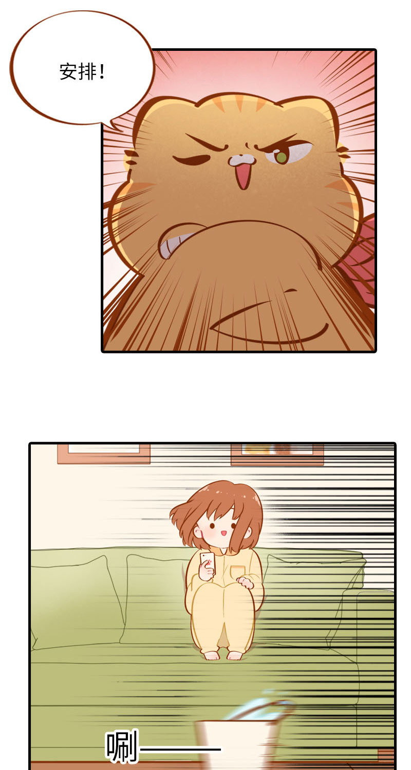 《猫咪的人类饲养指南》第31话 猫咪搓脚？安排！ 第4页