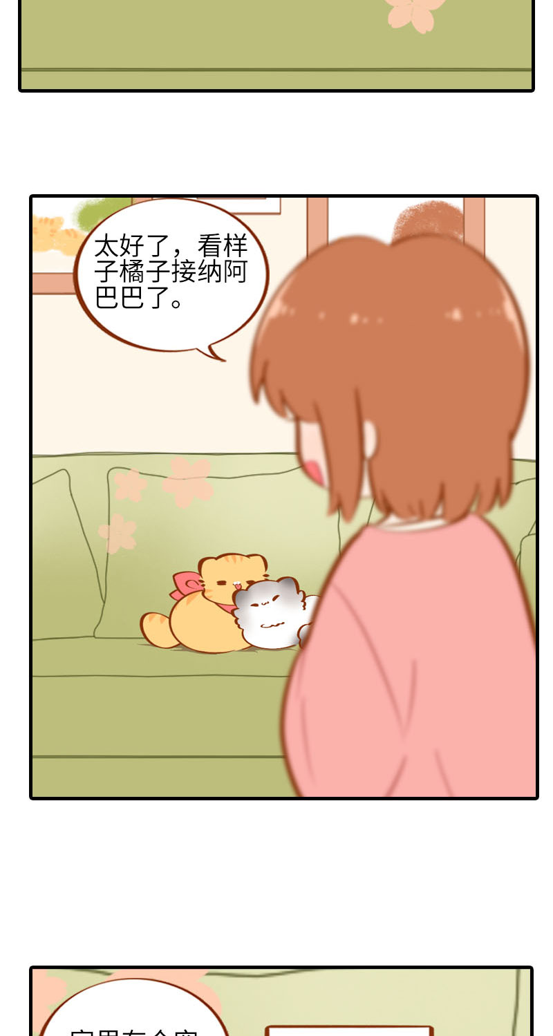 《猫咪的人类饲养指南》第36话 橘子！地位不保？！ 第11页
