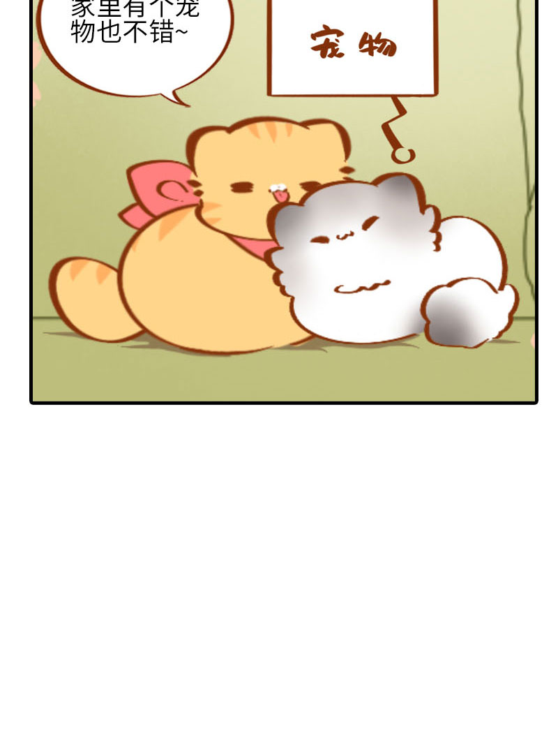 《猫咪的人类饲养指南》第36话 橘子！地位不保？！ 第12页