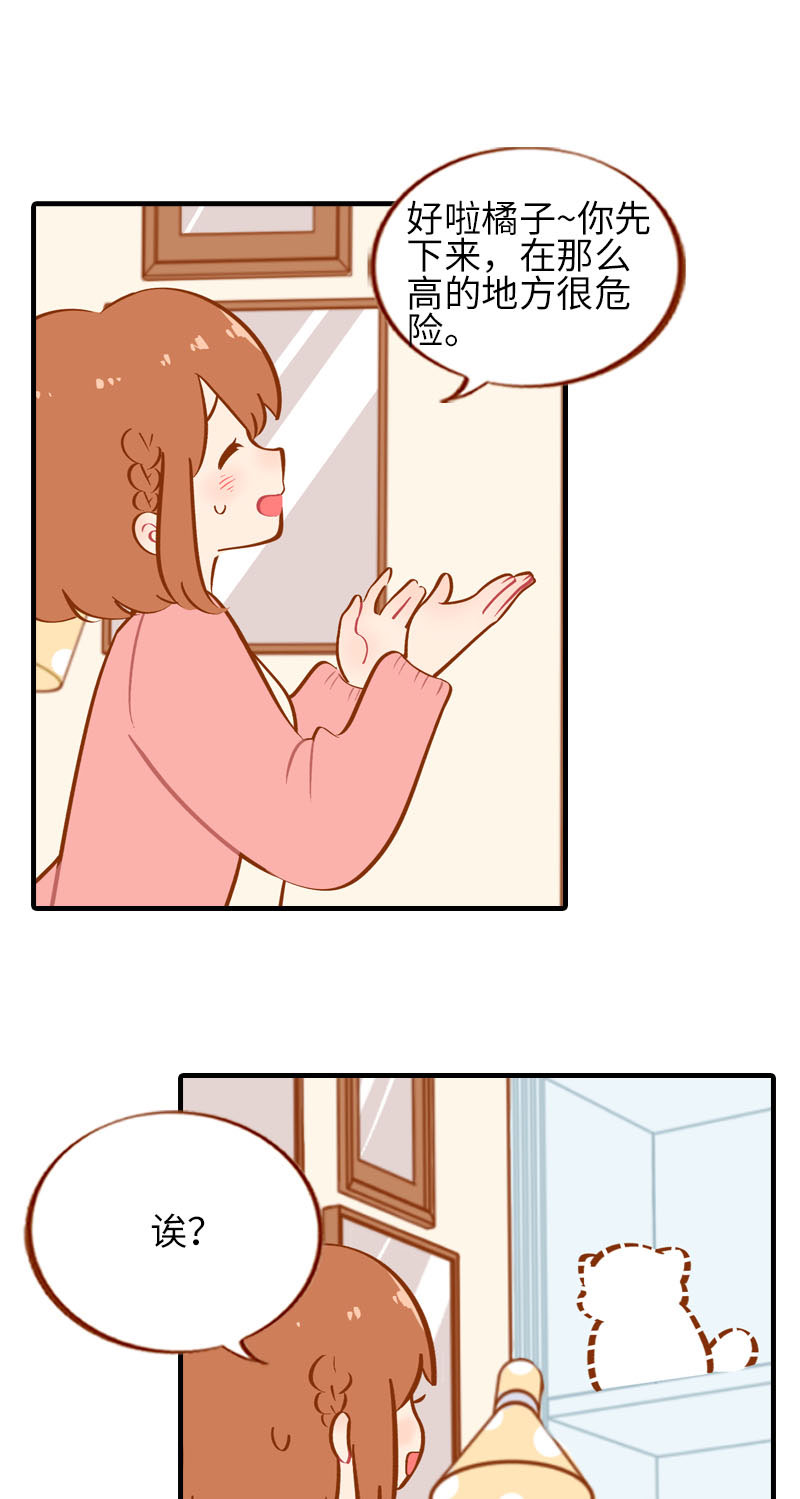 《猫咪的人类饲养指南》第36话 橘子！地位不保？！ 第2页