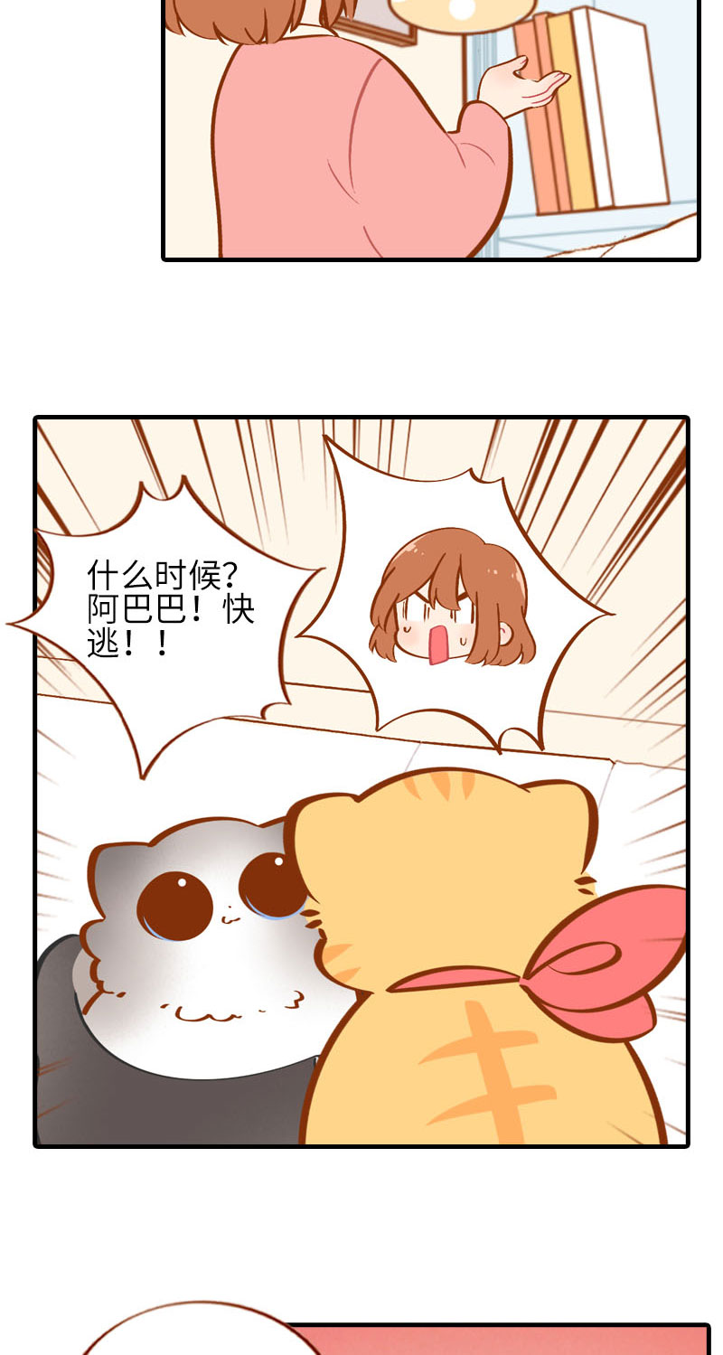 《猫咪的人类饲养指南》第36话 橘子！地位不保？！ 第3页